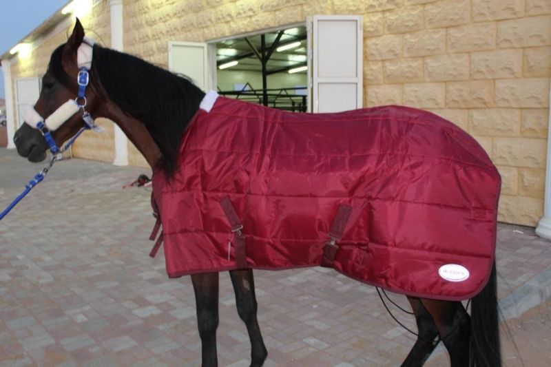 Plain Horse Stable Blanket, Size : Full Size
