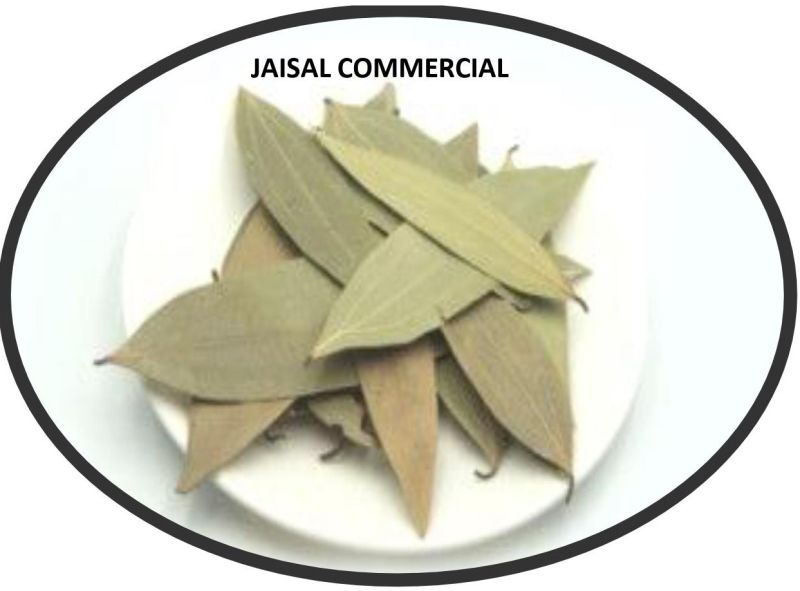 Natural cinnamon dry leaves, Packaging Type : Loose
