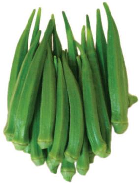 Okra Seeds For Agriculture