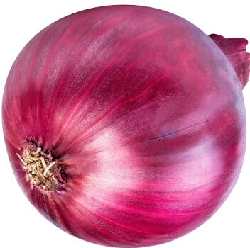 Fresh Onion, Packaging Size : 50 Kg