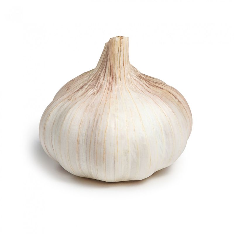 Organic Garlic for Cooking