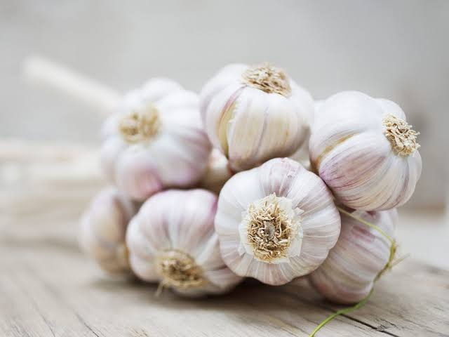 Common Fresh Garlic for Cooking