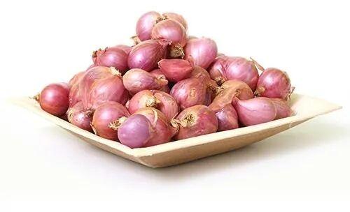 Fresh Shallots Onion for Food, Cooking