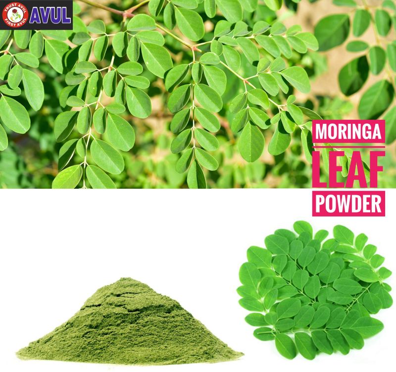 Organic Moringa Leaves Powder, Color : Green