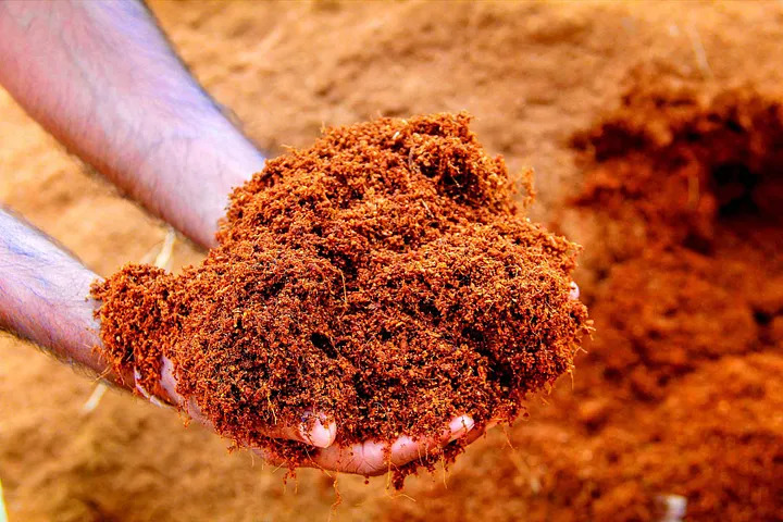 Organic Neem coco peat, for Agriculture, Nursery, forestery plantation