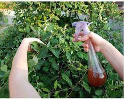 Liquid Organic Vermiwash, for Agricultural
