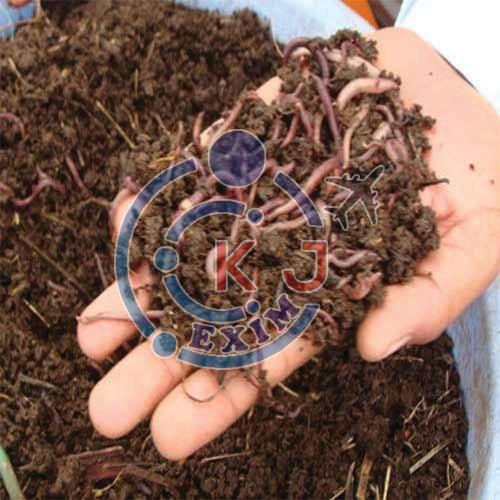 Dark Brown Organic Earthworm Vermicompost Fertilizer, for Agriculture, Packaging Type : Plastic Bag