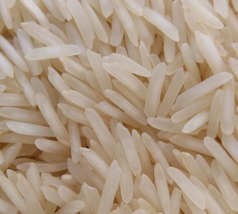 Natural 1401 Raw Basmati Rice for Human Consumption