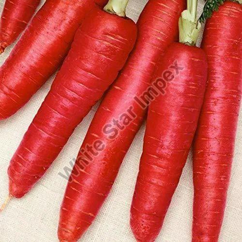 Red A Grade Fresh Carrot, for Cooking, Packaging Size : 20 Kg