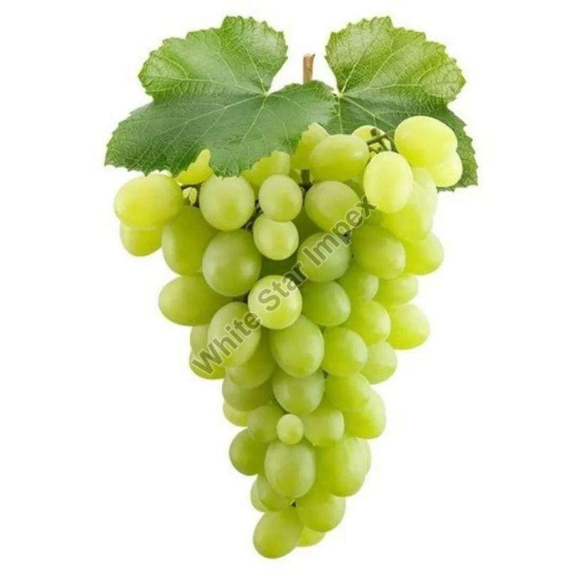 A Grade Fresh Green Grapes, for Human Consumption, Packaging Type : Paper Box
