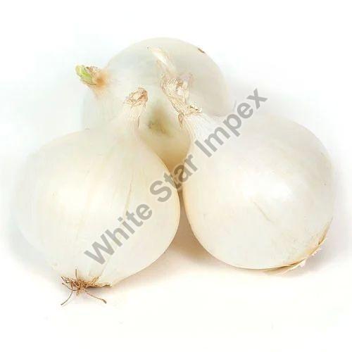 A Grade Maharashtra Fresh White Onion, Packaging Size : 20 Kg