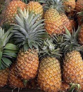 Best Quality Fresh Pineapple, for Juice, Packaging Size : 20 Kg