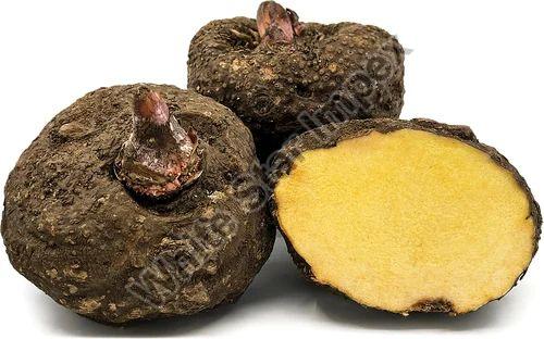 Whole Brown Fresh Yam Suran, for Cooking, Packaging Size : 20 kg