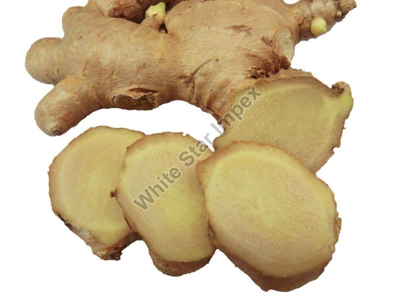 Whole Fresh a Grade Ginger Root, for Cooking, Packaging Size : 20kg