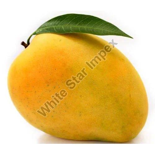 Yellow Natural Fresh Alphonso Mango, Packaging Size : 20 Kg
