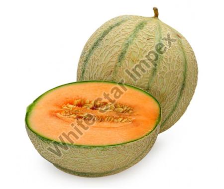 Natural Fresh Sweet Muskmelon, Packaging Size : 20kg