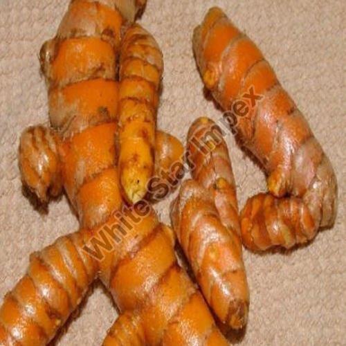 Natural Fresh Turmeric Roots, for Cooking, Feature : Long Shelf Life, Lung Protective