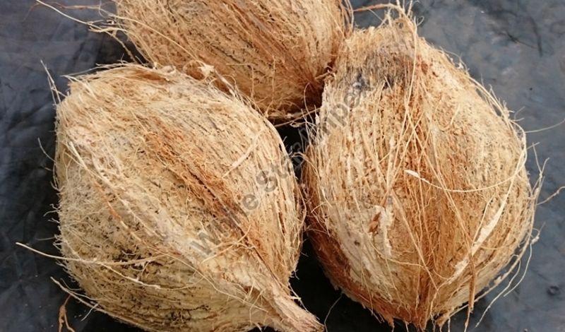 Natural Husked Coconut, Packaging Type : Bag