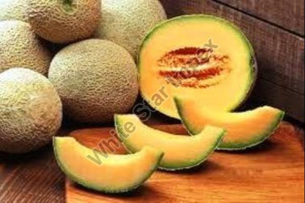 Natural Indian Fresh Muskmelon, for Human Consumption, Packaging Size : 20kg