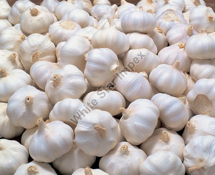 Natural Fresh Garlic