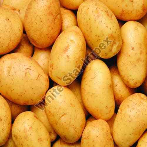 Natural Fresh Potato, Packaging Size : 20Kg