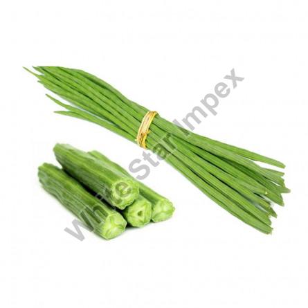 Green Organic Fresh Drumstick, for Cooking, Packaging Type : Bag