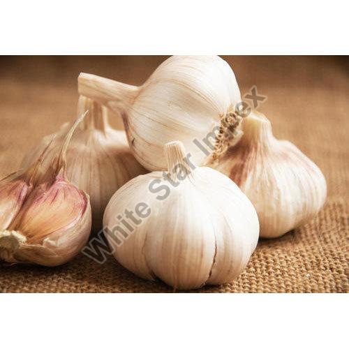 Organic Fresh Garlic, for Cooking, Style : Solid