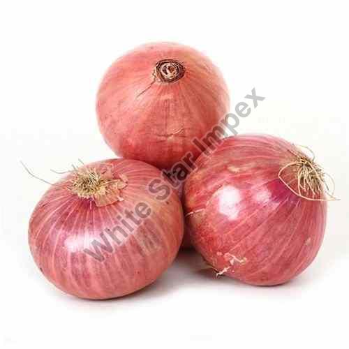 Organic Fresh Onions, for Cooking, Packaging Type : Bag