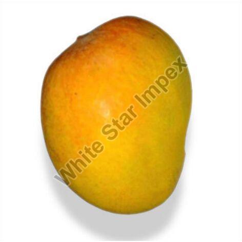 Organic Totapuri Mango, for Human Consumption, Packaging Size : 20 kg