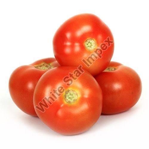 Red Fresh Tomato, Packaging Size : 20 kg