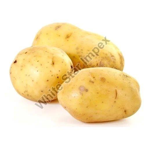 Sugar Free Fresh Potato, for Cooking, Packaging Size : 20 Kg