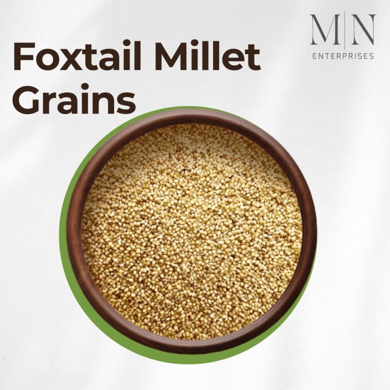 foxtail millet
