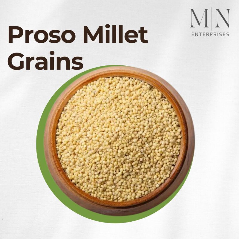 Natural proso millet for Cooking