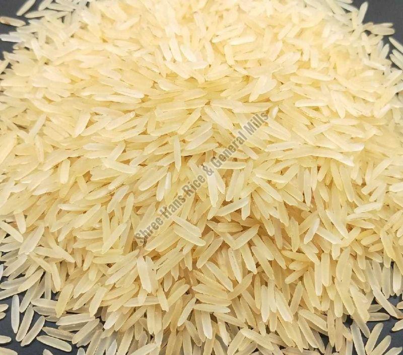 Creamy 1509 White Sella Basmati Rice, for Cooking, Variety : Medium Grain