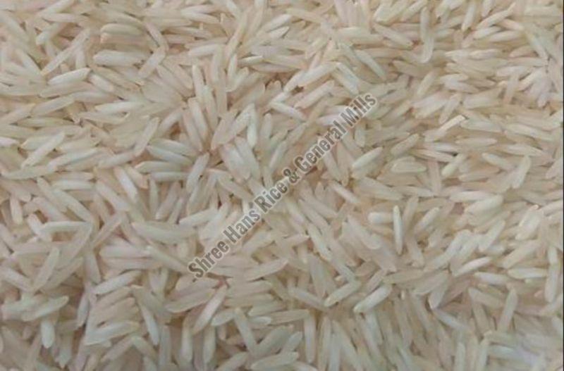 Creamy Natural Soft Sharbati Steam Basmati Rice, for Cooking, Packaging Size : 20Kg