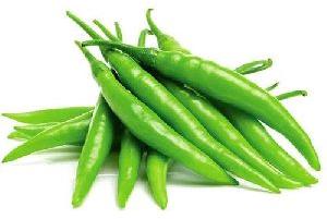 Fresh Green Chilli for Cooking