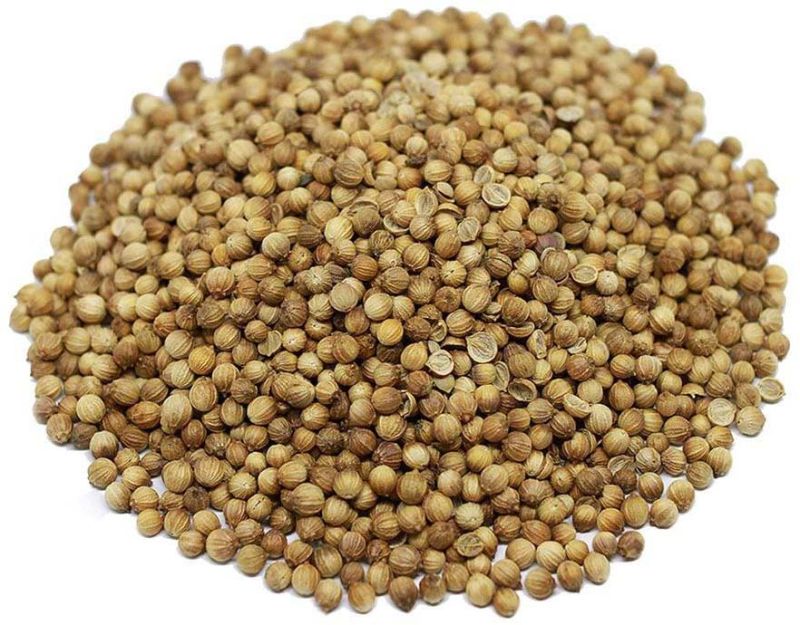 High Quality Coriander