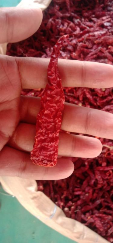 Raw Organic Dried Red Chili, For Spices, Cooking