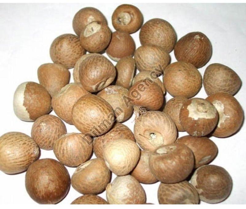 Organic Indian Betel Nuts, Packaging Type : Plastic Packet