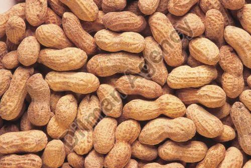 Brown Natural Raw Shelled Groundnuts, for Making Flour, Making Oil, Packaging Type : PP Bag