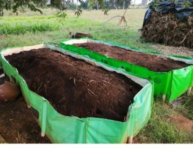 Organic Loose Vermicompost Fertilizer for Agriculture