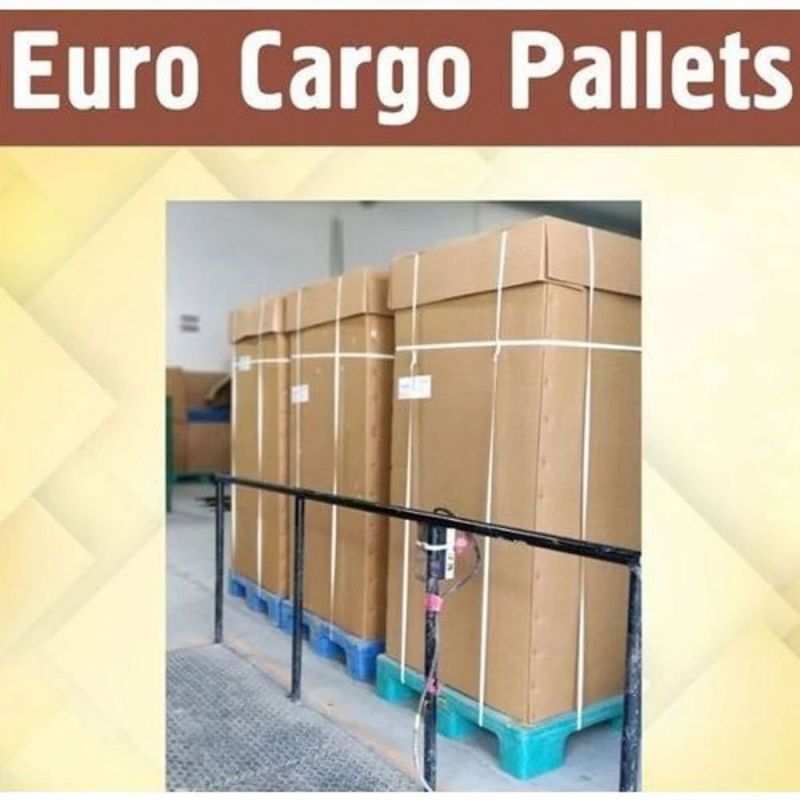 Plastic Euro Cargo Pallets, Capacity : 250 Kg