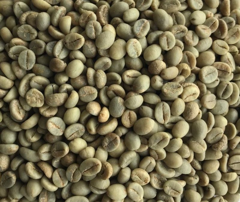Arabica Bulk Green Coffee Beans for Home, Hotel, Cafe, etc