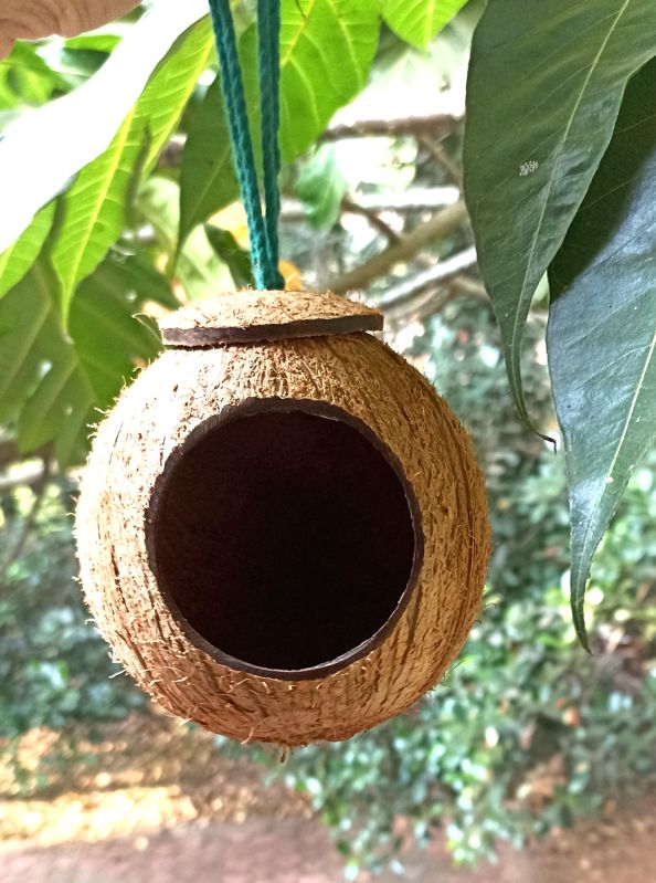 Coconut Shell Bird Feeder, Color : Brown
