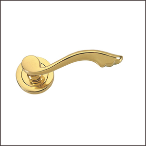 Polished Brass Handles for doors