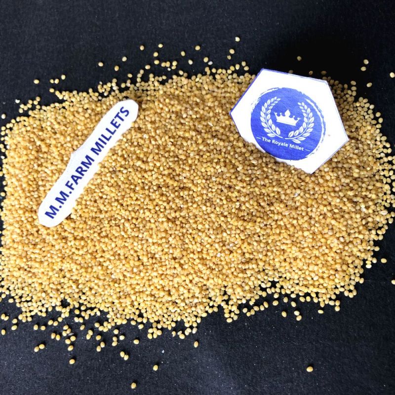 Foxtail Millet - Thinai