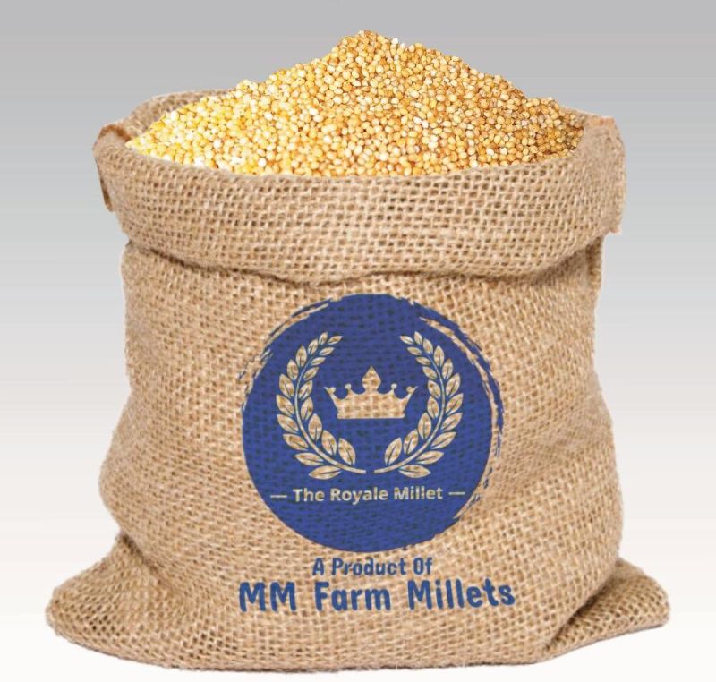 Foxtail Millet - Thinai