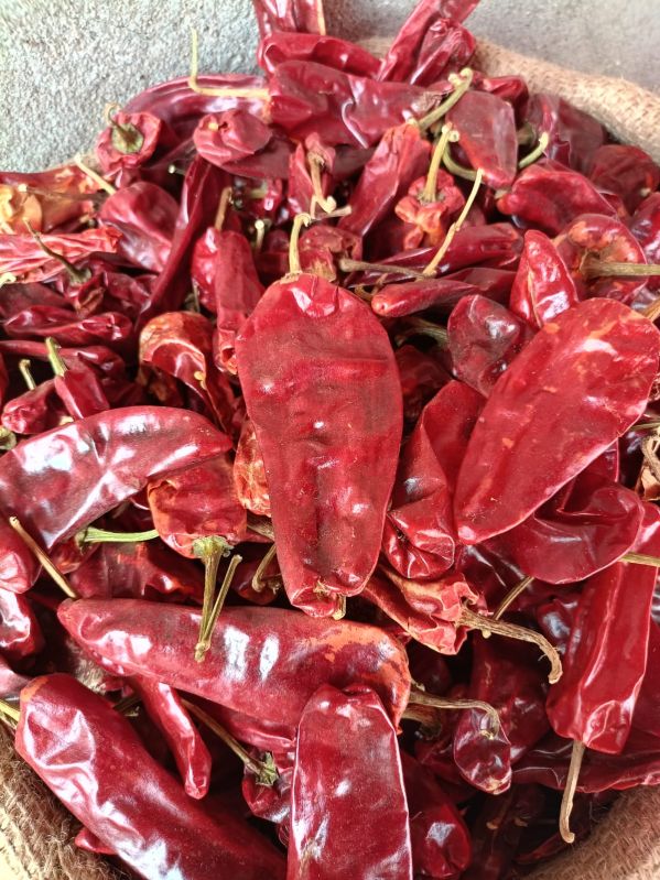 Raw Natural With Stem Dry Red Chili, For Food Medicine, Spices, Cooking