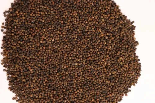 Bold Common 11.75mm Black Pepper, Pepper Grade Available : 520 G/l