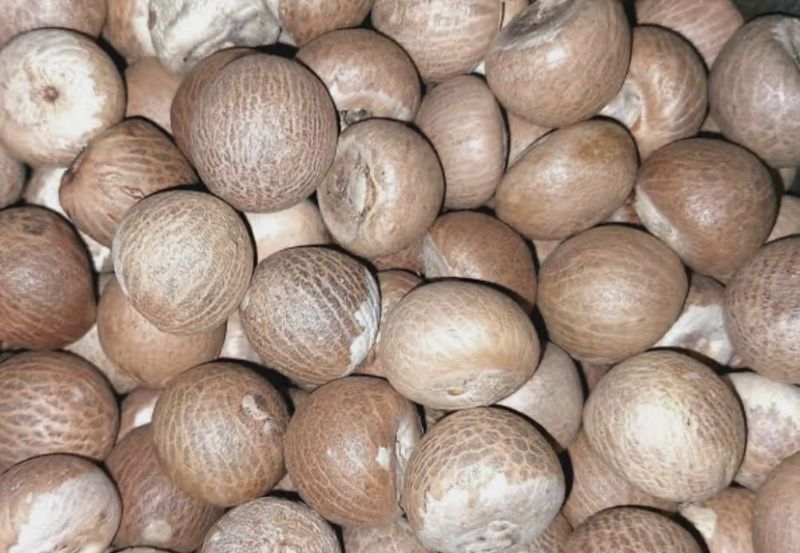 Organic areca nut, Style : Dried